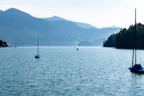Das Wasser ist klar und hat Trinkwasserqualität. Die maximale Tiefe des Walchensees beträgt beachtliche 192 Meter.  • © alpintreff.de - Christian Schön